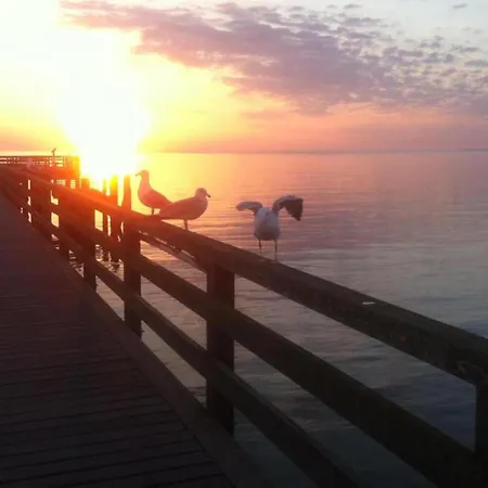 Beautiful In Near The Sea