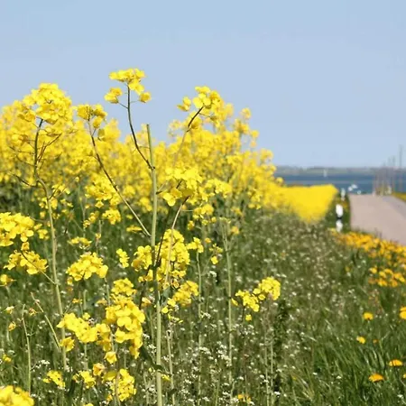 Kuestenkomfort Damshagen