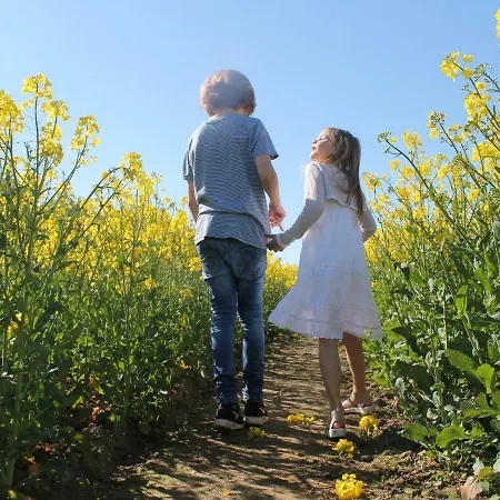 Beautiful In Near The Sea Апартаменты Damshagen